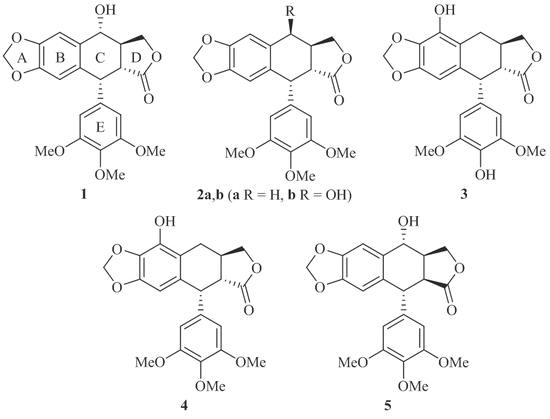 synthesis of 4 azapodophyllotoxins with anticancer activity by fs form 1455