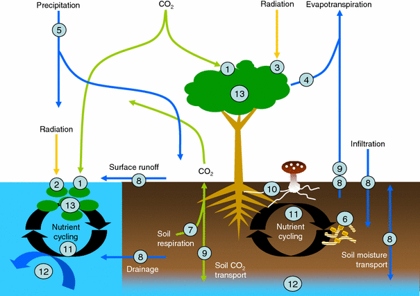 Environmental behavior and ecotoxicity of engineered nanoparticles to ...