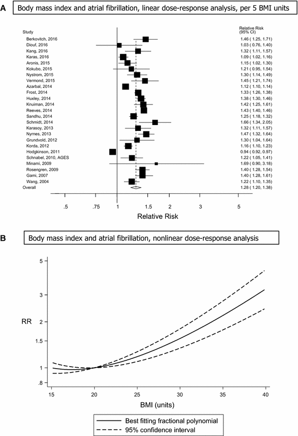 Relative Fat Mass Chart