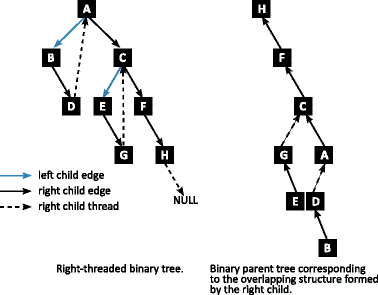 Binary tree options pricing
