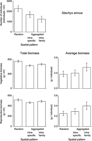 Effects Of Spatial Pattern And Relatedness In An Experimental Plant Best Spatial Pattern Effects Of Spatial Pattern And Relatedness In An Experimental Plant Best Spatial Pattern