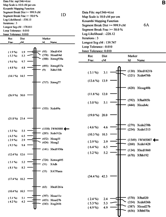 Generation And Exploitation Of Est Derived Ssr Markers For Assaying Molecular Diversity In Durum Wheat Populations Springerlink