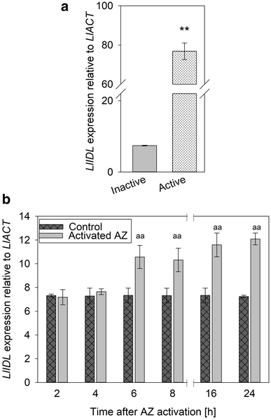 Inflorescence Deficient In Abscission Like Is An Abscission