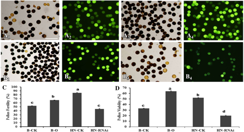 OsMND1 regulates early meiosis and improves the seed set rate in ...