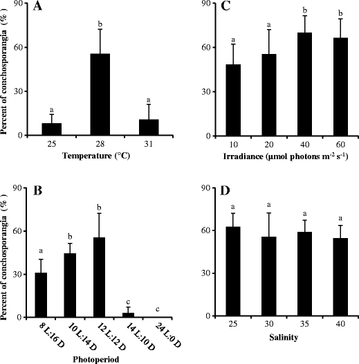 developmental and physiological properties of pyropia dentata open image in new window