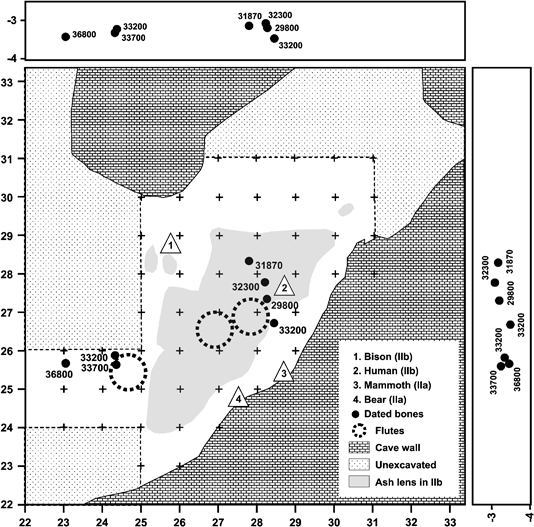 The Emergence Of Ornaments And Art An Archaeological Perspective On