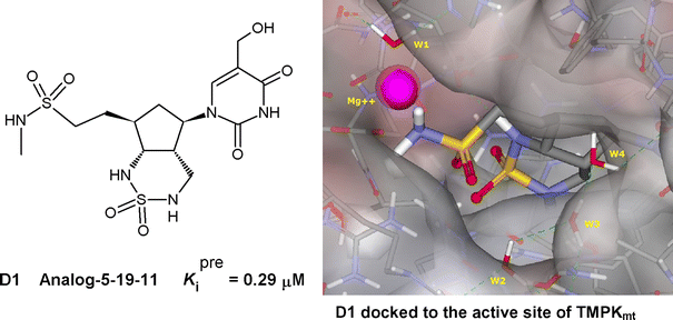 Semisynthesis of human thymidine monophosphate kinase 02 image