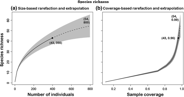 Effect Of Deadwood Management On Saproxylic Beetle Richness In The Floodplain Forests Of Northern Italy Some Measures For Deadwood Sustainable Use Springerlink
