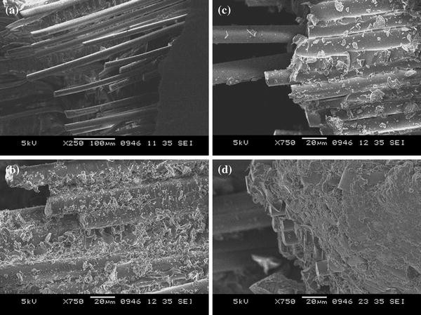 Effects Of Fiber Surface Treatments On Mechanical Properties Of Epoxy ...