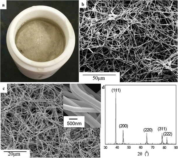 A comprehensive study of silver nanowires filled electrically