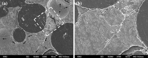 Fabrication Of Biphasic Calcium Phosphates Polycaprolactone Composites By Melt Infiltration Process Springerlink