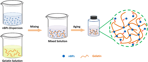 An Easy-to-use Wound Dressing Gelatin-bioactive Nanoparticle Gel And 