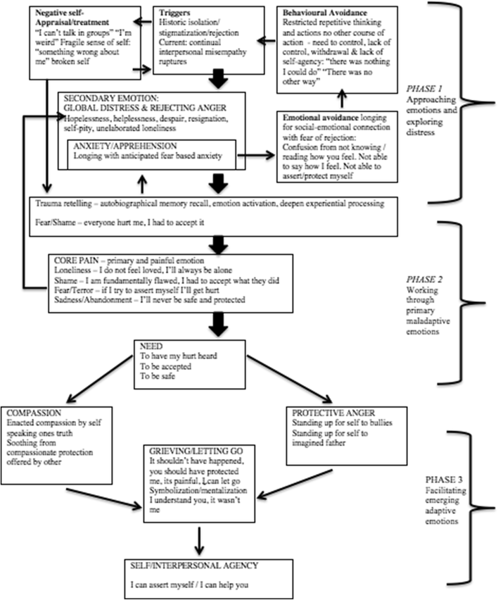 EmotionFocused Therapy for Autism Spectrum Disorder A Case