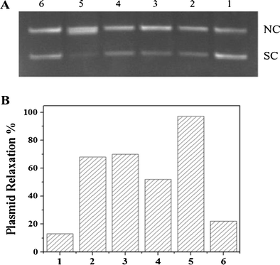 quercetin iron complex synthesis characterization antioxidant dd form 1896