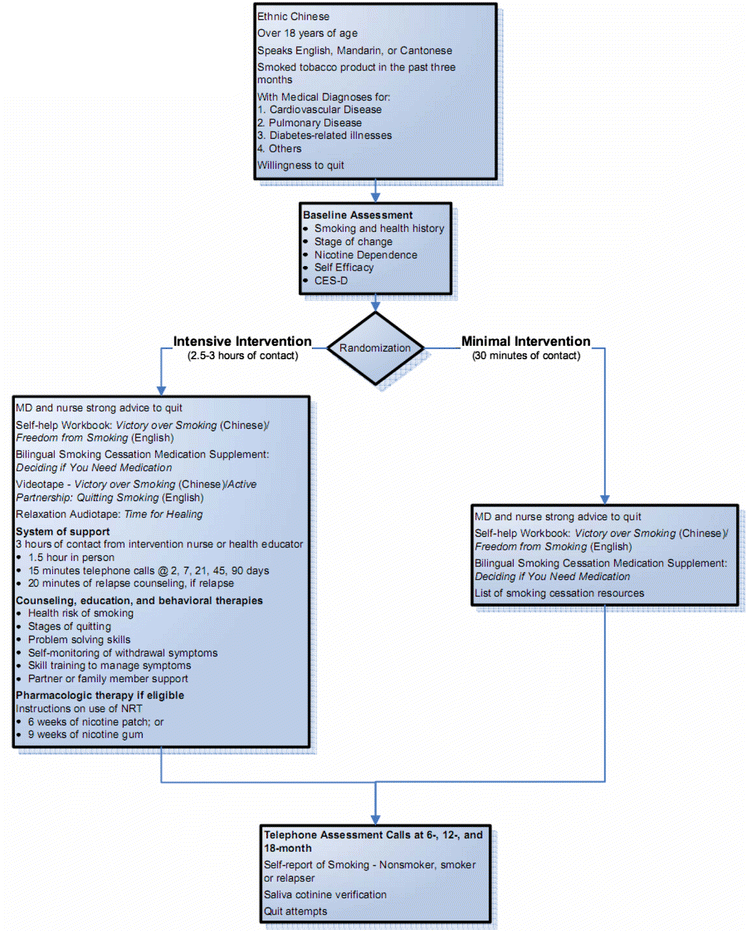 A practical guide to becoming a nonsmoker