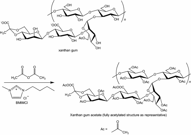 Acetylation of Xanthan Gum in Ionic Liquid SpringerLink