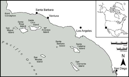 From Pleistocene Mariners To Complex Hunter Gatherers The