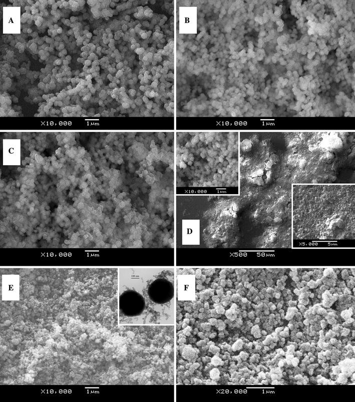 Crucial factors affecting the physicochemical properties of sol–gel ...