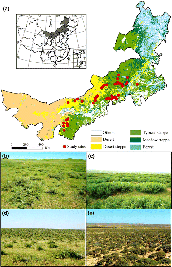 Climate and native grassland vegetation as drivers of the community