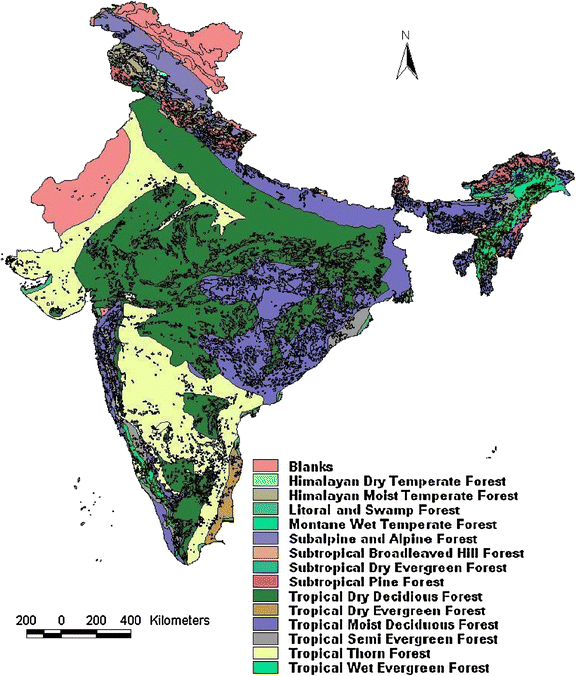 Impact of climate change on Indian forests: a dynamic vegetation ...