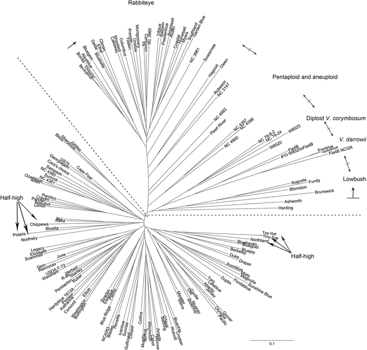 patterns of simple sequence