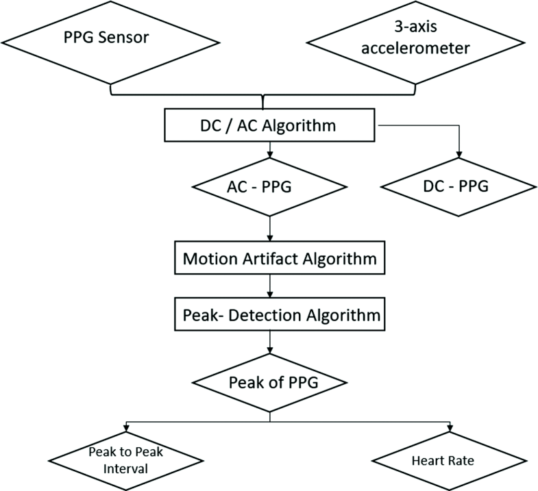 Detection and Removal of Motion Artifacts in PPG Signals | SpringerLink