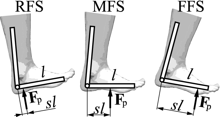 Stable Periodic Motion Of A Controlled Segmented Leg Model