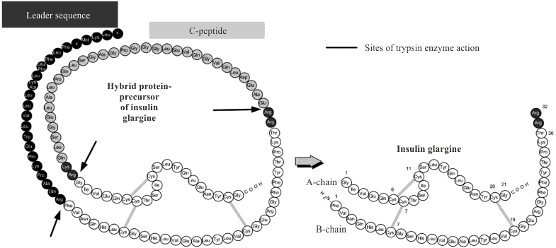 Systematic Approach to Production Technology Development for ...