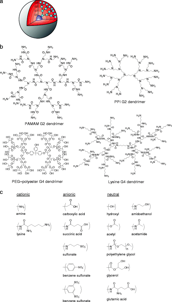 Designing Dendrimers For Drug Delivery And Imaging Pharmacokinetic Considerations Springerlink