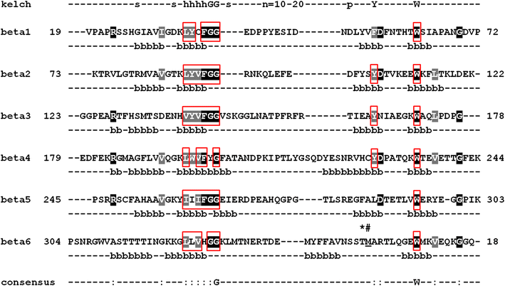 The Crystal Structure Of The Thiocyanate Forming Protein From Thlaspi Arvense A Kelch Protein Involved In Glucosinolate Breakdown Springerlink The Crystal Structure Of The Thiocyanate Forming Protein From Thlaspi Arvense A Kelch Protein Involved In Glucosinolate Breakdown Springerlink