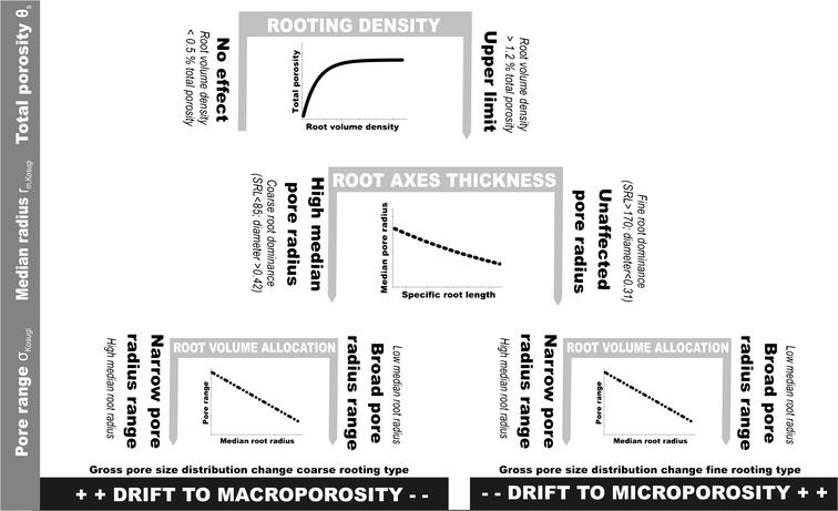 Coarse And Fine Root Plants Affect Pore Size Distributions
