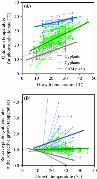 Temperature response of photosynthesis in C3, C4, and CAM plants ...