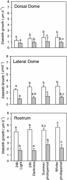 abiotic influences on embryo growth statoliths as experimental open image in new window