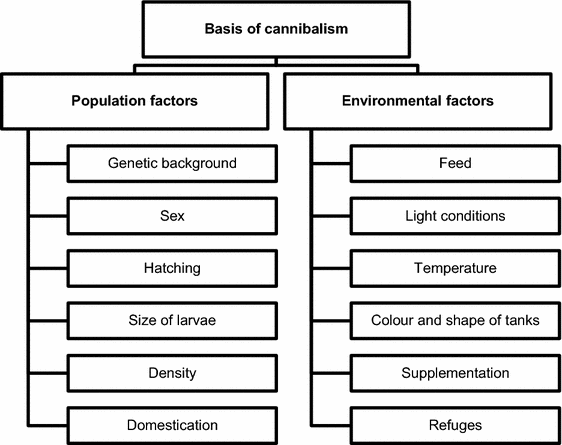 Catfish Feeding Chart