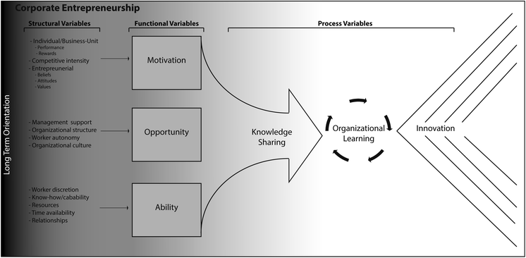 entrepreneurial structure definition