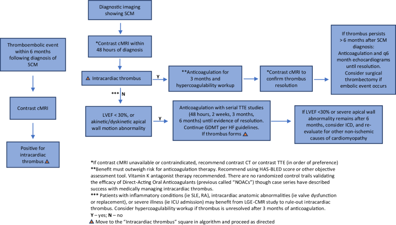 Anticoagulation and stress-induced cardiomyopathy | SpringerLink