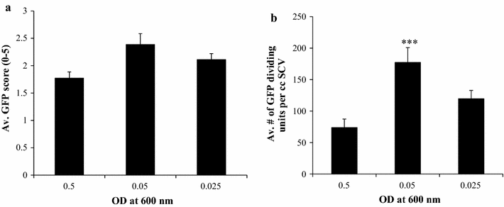 improvements in agrobacterium mediated transformation of cassava open image in new window
