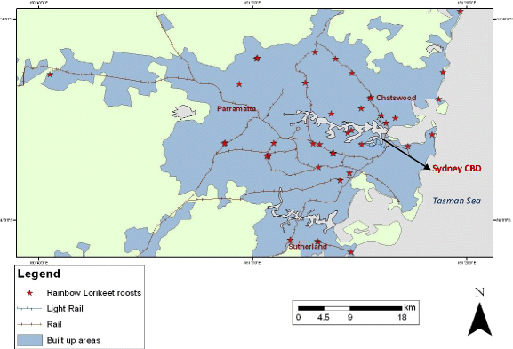 Rules Of The Roost Characteristics Of Nocturnal Communal Roosts Of