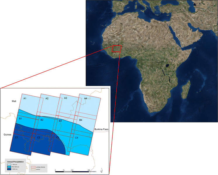 Buffering The Savanna Fire Regimes And Disequilibrium - 