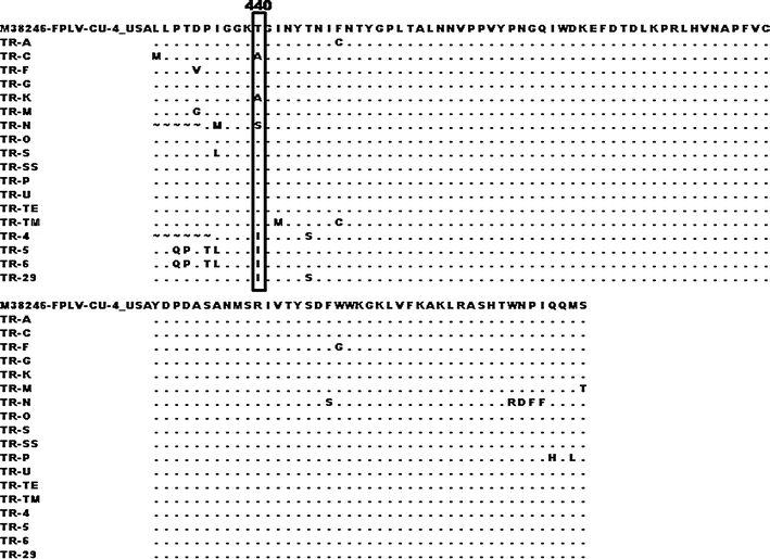 Characterization Of The Partial Vp2 Gene Region Of Canine Parvoviruses In Domestic Cats From Turkey Springerlink