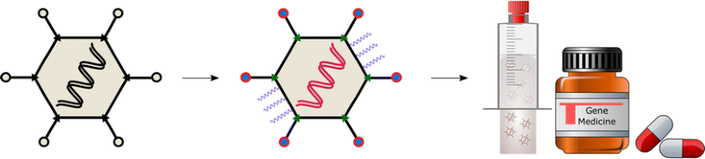 From Virus to vector to medicine: Foreword by guest editors | SpringerLink