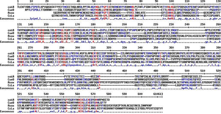 bacterial laccases springerlink da form 160 r