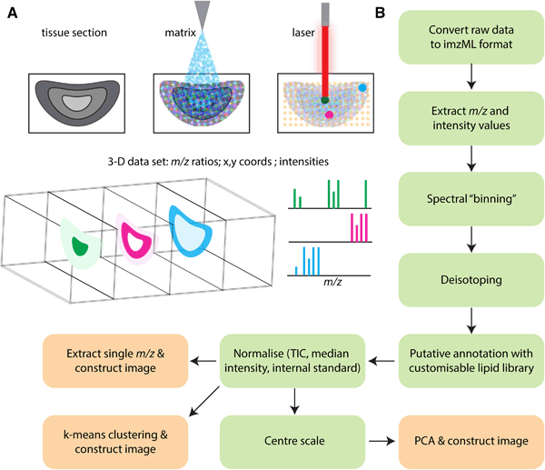 massPix an R package for annotation and interpretation of mass