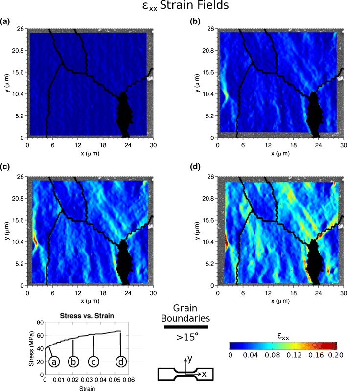 SelfAssembled Nanoparticle Surface Patterning for Improved Digital