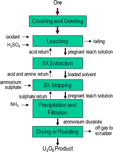 Biogeochemical Behaviour And Bioremediation Of Uranium In - 