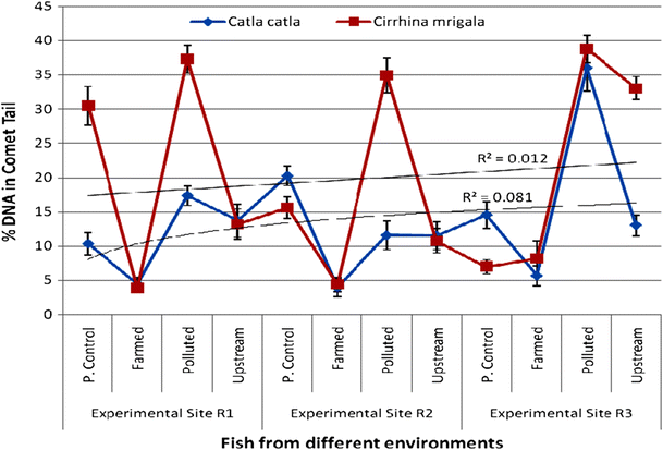 Variation In Genotoxic Susceptibility And Biomarker Responses In