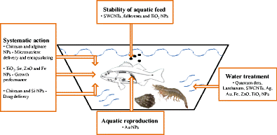 Graphical abstract