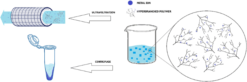 Amine Terminated Dendritic Polymers As A Multifunctional Chelating Agent For Heavy Metal Ion Removals Environmental Science And Pollution Research X Mol