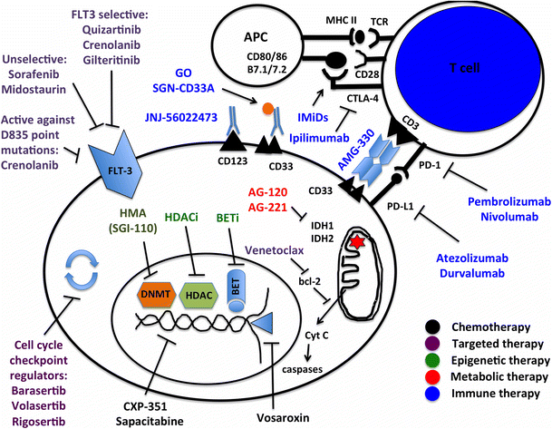 (PDF) Molecular targeting in acute myeloid leukemia