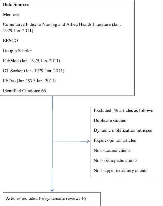 Orthoses intervention essay 08 picture